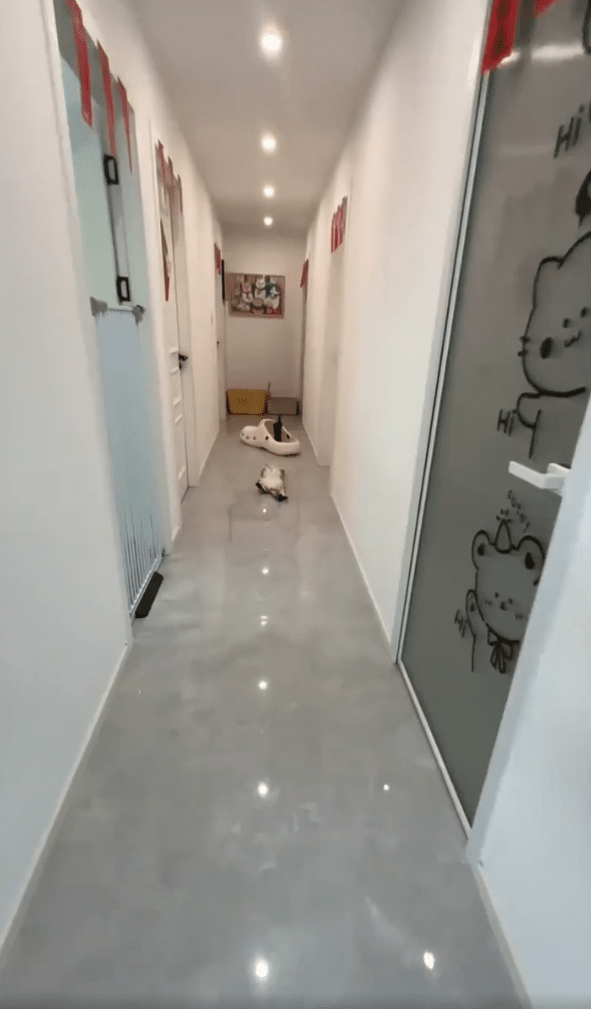 출처:Reddit / 바닥에 누워있는 고양이