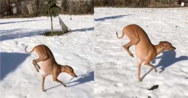 출처: Reddit / "눈에 닿는 면적을 최소화하고 싶어."