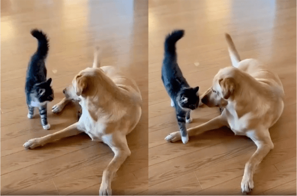 출처: Reddit / 평화로운 폭풍전야(?)