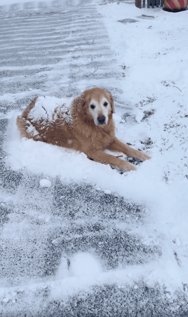 출처 : Reddit / 난 눈이 좋은데 왜 치우개?