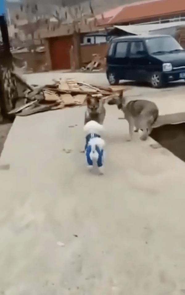 출처 : Reddit / 너무 다가오니까 좀 부담된다개...!