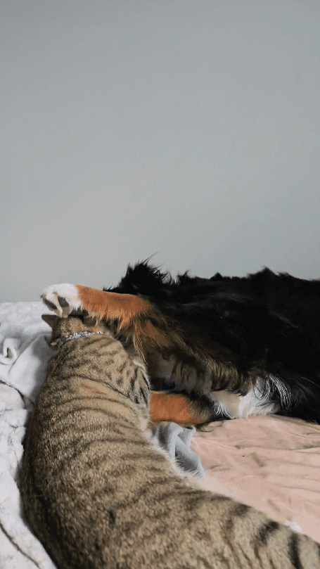 출처 : Reddit / 가볍게 장난을치는 중