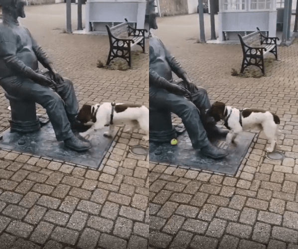 출처 : Reddit / 개 한마리가 동상 밑에 공을 놓는다