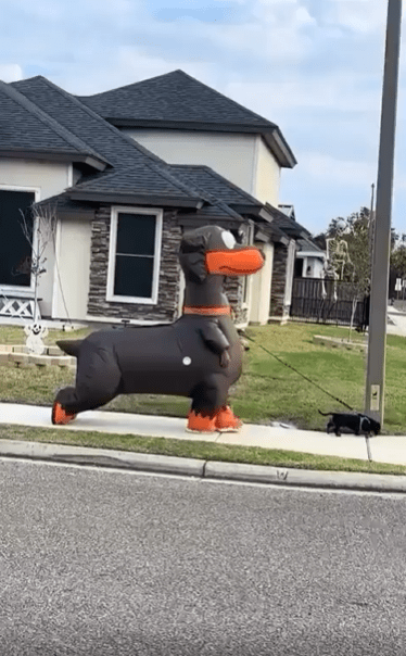 출처 : Reddit / 강아지인형이 강아지를 산택시키고있다