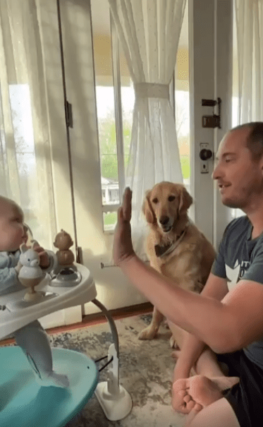 출처 : Reddit / 아기에게 하이파이브를 시도하는 아빠