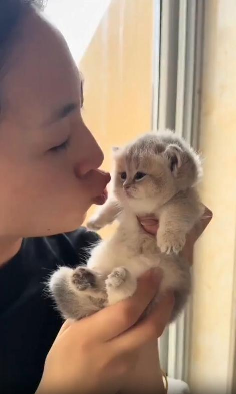 출처 : Reddit / 작은 새끼 고양이을 손에 든채 입을 쭉 내밀고 가까이 대고있는 주인 새끼고양이는 앞발로 입쪽을 대고 야옹 하고운다 잠시후 주인은 못참겠다는 듯 입술로 고양이의 얼굴을 쭈욱 빤다