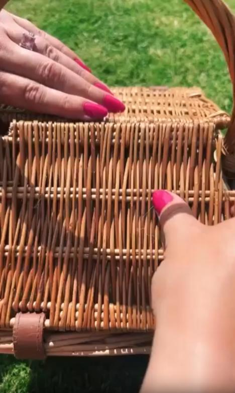 출처 : Reddit / 풀밭위에 소풍 바구니를 열자 등을 바닥에 대고 누운 새끼강아지가 보인다